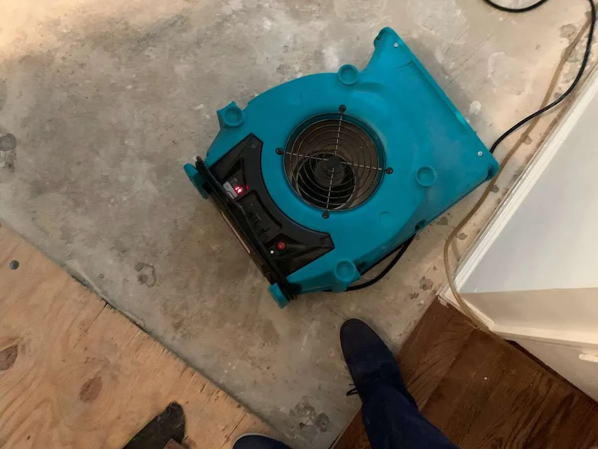 Air mover drying subfloor during Leak Detection & Repair in Springville